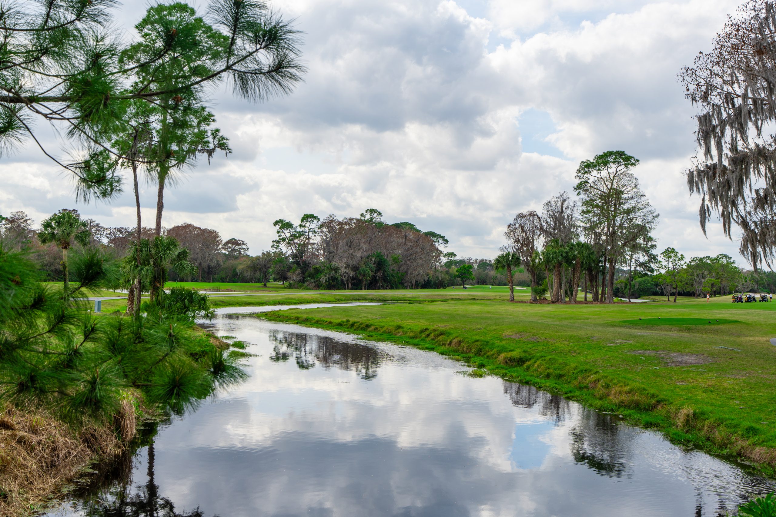 Disney's Magnolia Golf Course at Disney World, lake next to green