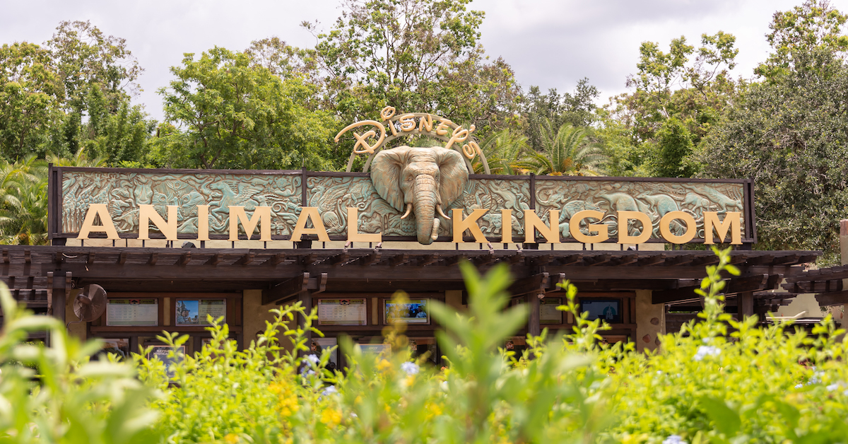 The Oasis at Disney’s Animal Kingdom