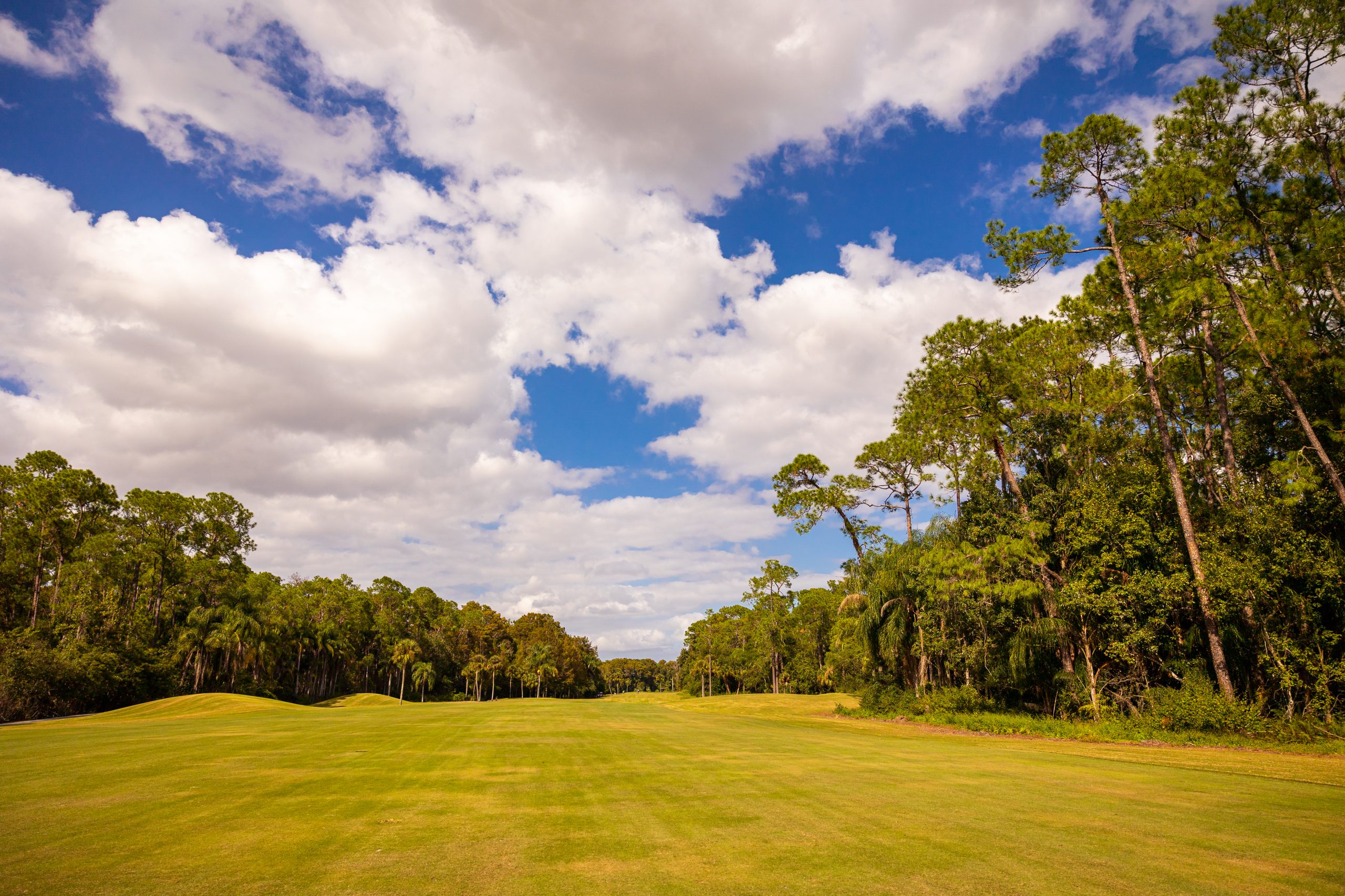 Disney's Palm Golf Course, Disney World, expanse of green