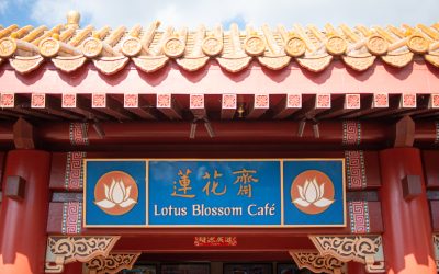 Lotus Blossom Café