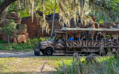 Africa at Disney’s Animal Kingdom