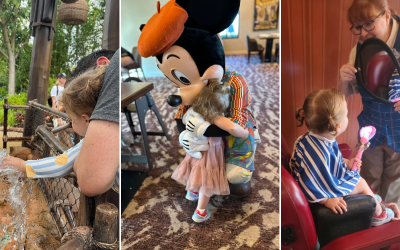 6 Travel Items I Always Bring for My Toddler in Disney World