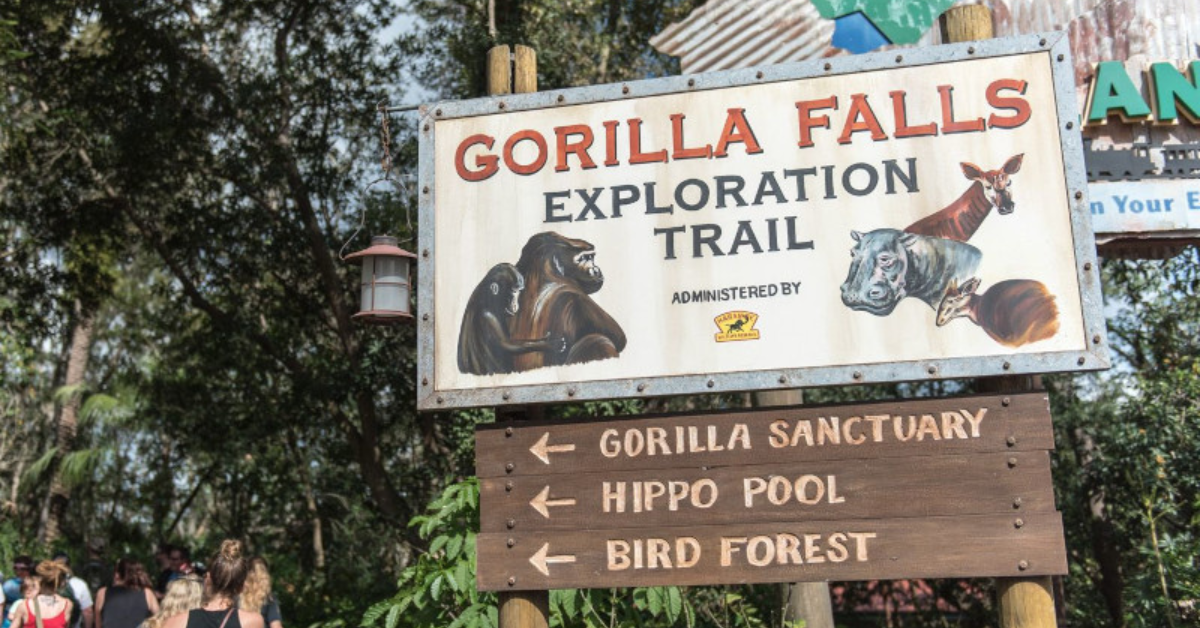 Gorilla Falls Exploration Trail