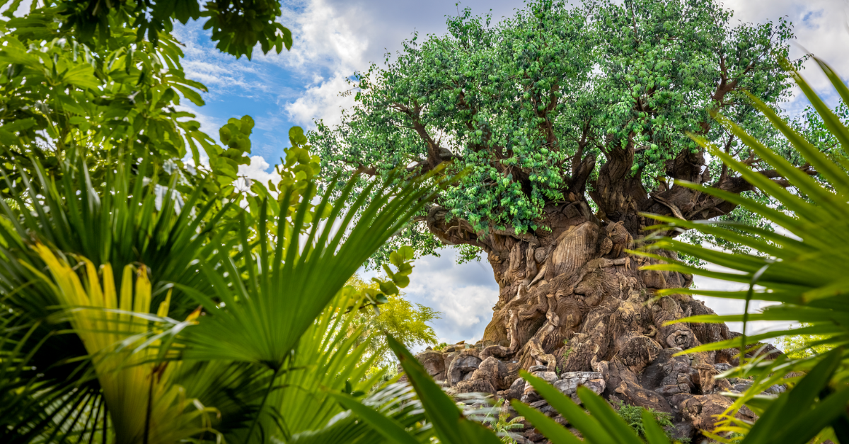 Discovery Island at Disney’s Animal Kingdom